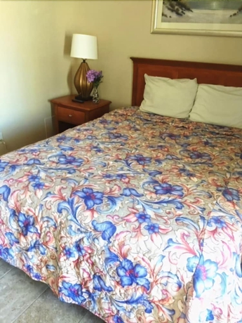 Imagen de la habitación del Hotel Crystal Winds. Foto 17