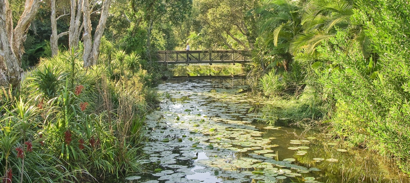 Imagen de los exteriores del Hotel Crystalbrook Byron. Foto 11