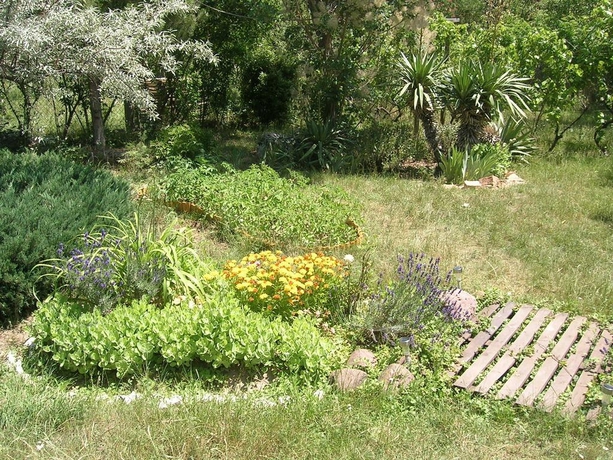 Imagen general del Hotel Csalintos Apartman. Foto 9