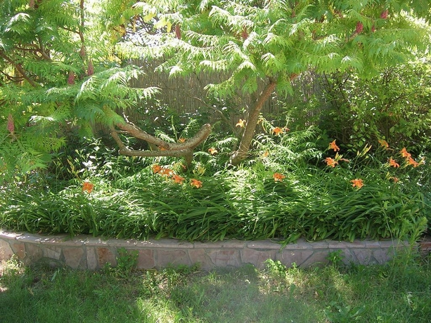 Imagen general del Hotel Csalintos Apartman. Foto 13