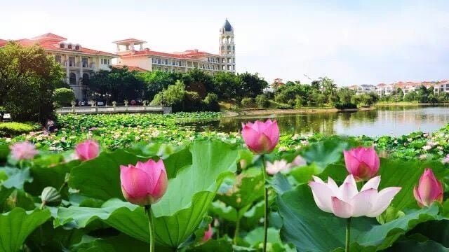 Imagen de los exteriores del Hotel Ctry Garden Phoenix Hot Spring Taizhou. Foto 16