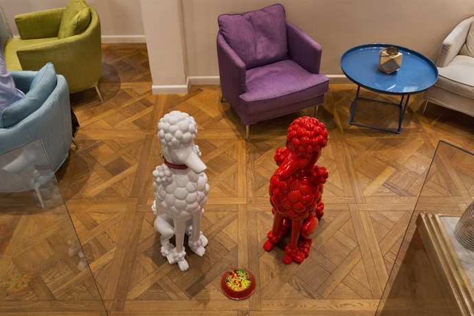 Imagen general del Hotel Cucu. Foto 4