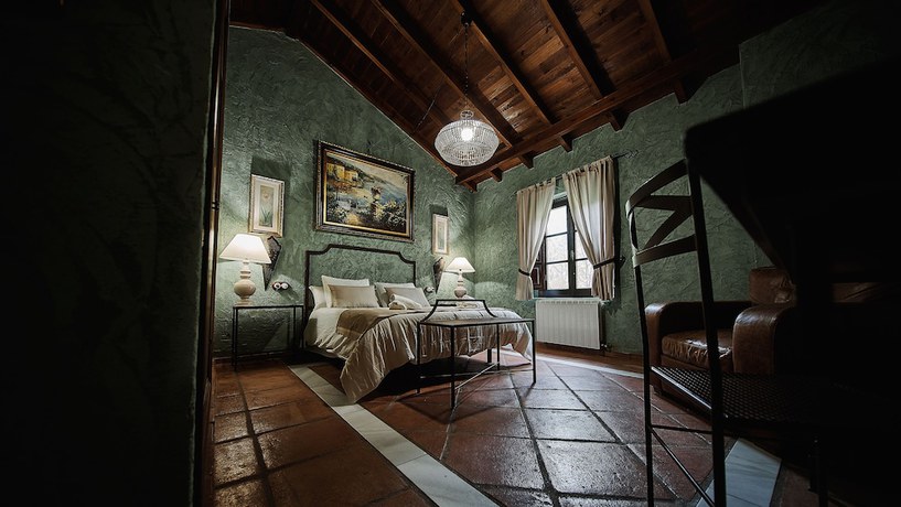 Imagen de la habitación del Hotel Cueva Del Gato. Foto 6