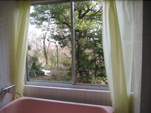 Imagen de la habitación del Hotel Cultural Property Of Japan Senzairo. Foto 6