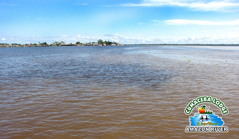 Imagen de los interiores del Hotel Cumaceba Amazon Lodge. Foto 11
