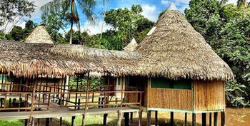 Imagen de la habitación del Hotel Cumaceba Amazon Lodge. Foto 5