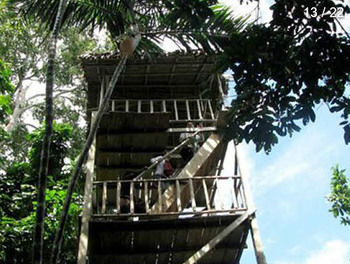 Imagen de los exteriores del Hotel Cumaceba Botanical Garden. Foto 6