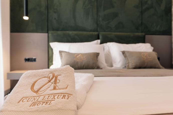 Imagen de la habitación del Hotel Cuni Luxury. Foto 15