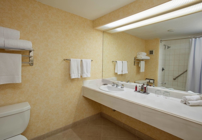 Imagen de la habitación del Hotel Curacao Marriott Beach Resort. Foto 7