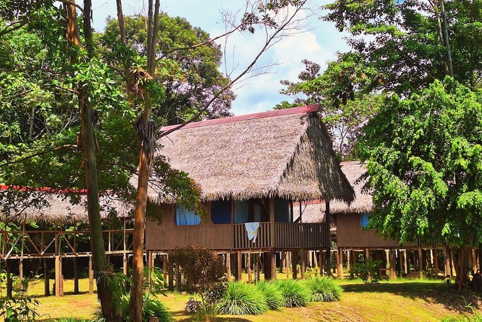 Imagen de la habitación del Hotel Curassow Amazon Lodge. Foto 10