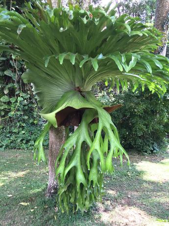 Imagen de los exteriores del Hotel Curtis Cottage. Foto 11