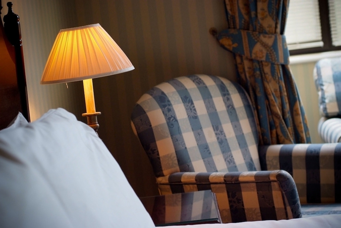 Imagen de la habitación del Hotel Cwrt Bleddyn and Spa. Foto 10