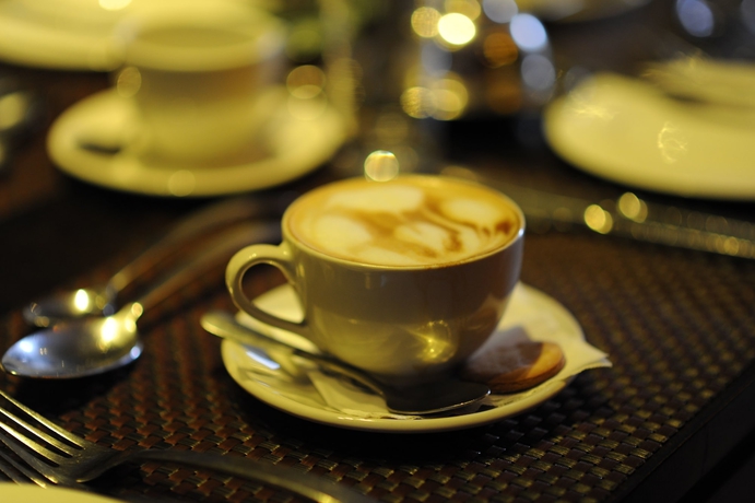 Imagen del bar/restaurante del Hotel Cycad Guest House. Foto 9