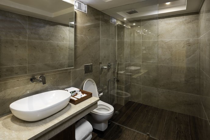 Imagen de la habitación del Hotel Cygnett Inn Paras. Foto 9
