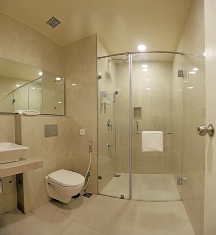 Imagen general del Hotel Cygnett Lite Grand, jaipur. Foto 8