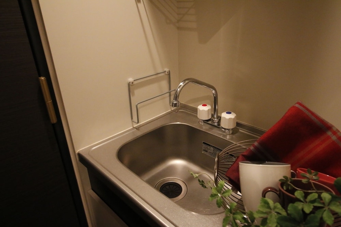 Imagen de la habitación del Hotel Cypress Inn Tokyo. Foto 8
