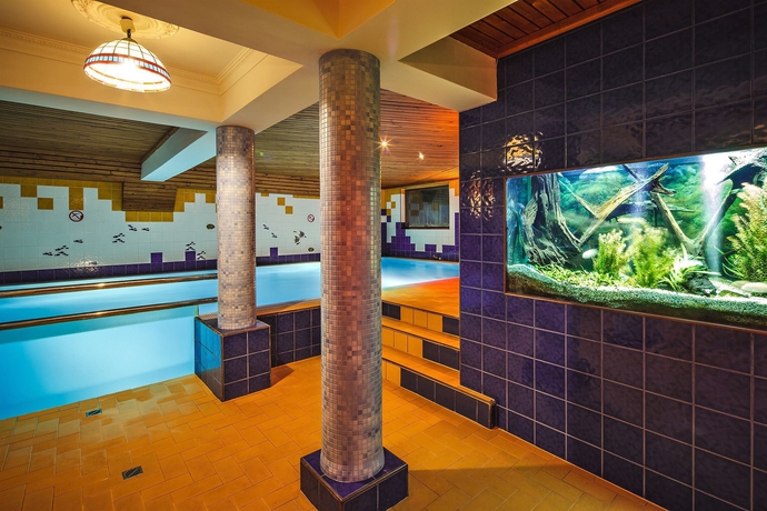 Imagen de la piscina del Hotel Czarny Potok. Foto 15