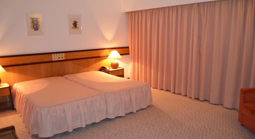 Imagen general del Hotel D. Afonso and Spa. Foto 3