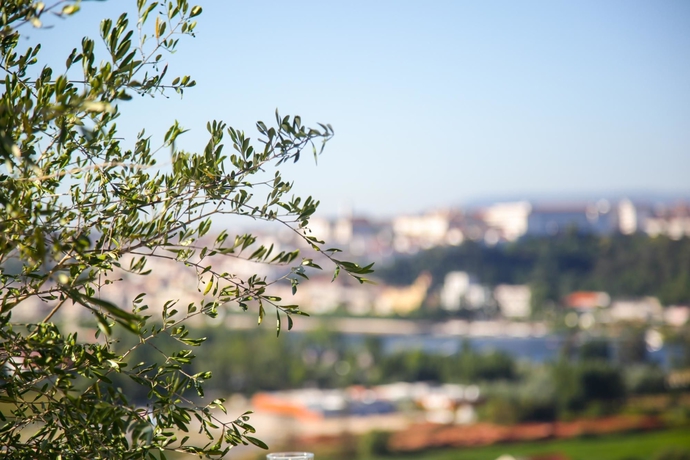 Imagen de los exteriores del Hotel D. Luís. Foto 13