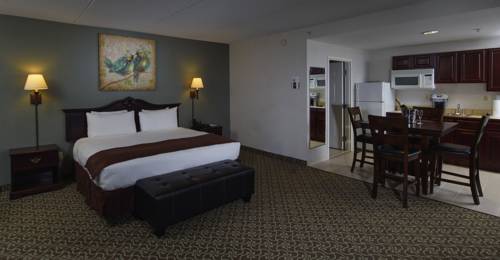 Imagen de la habitación del Hotel D. Suites and Spa. Foto 3