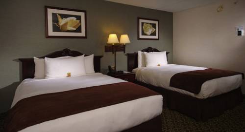 Imagen de la habitación del Hotel D. Suites and Spa. Foto 4