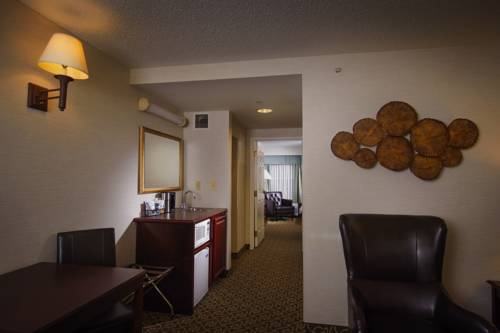 Imagen de la habitación del Hotel D. Suites and Spa. Foto 6