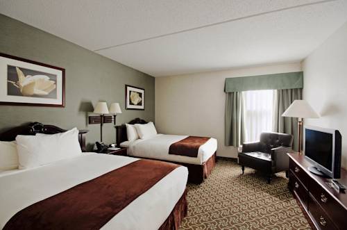 Imagen de la habitación del Hotel D. Suites and Spa. Foto 7