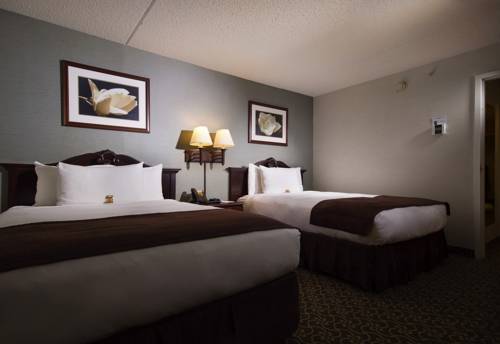 Imagen de la habitación del Hotel D. Suites and Spa. Foto 13