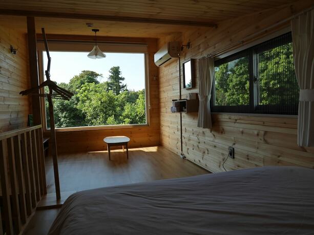 Imagen de la habitación del Hotel DABUT. Foto 37