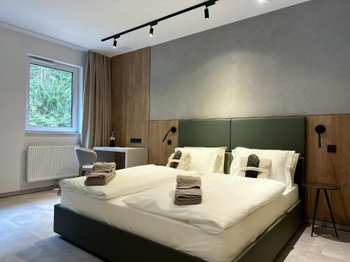 Imagen de la habitación del Hotel DAS ERZ Medical Spa and Hotel. Foto 5