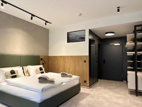 Imagen de la habitación del Hotel DAS ERZ Medical Spa and Hotel. Foto 7