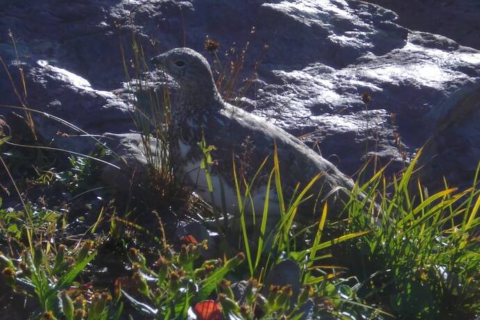 Imagen general del Hotel DB Botique and Cabins. Foto 6