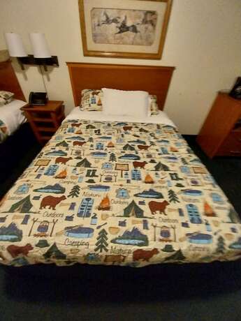 Imagen general del Hotel DB Botique and Cabins. Foto 12