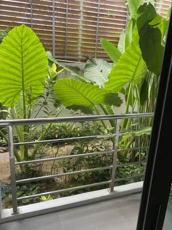 Imagen general del Hotel DD Residence Sai5 salaya. Foto 11