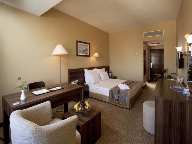 Imagen de la habitación del Hotel DEDEMAN DIYARBAKIR. Foto 5