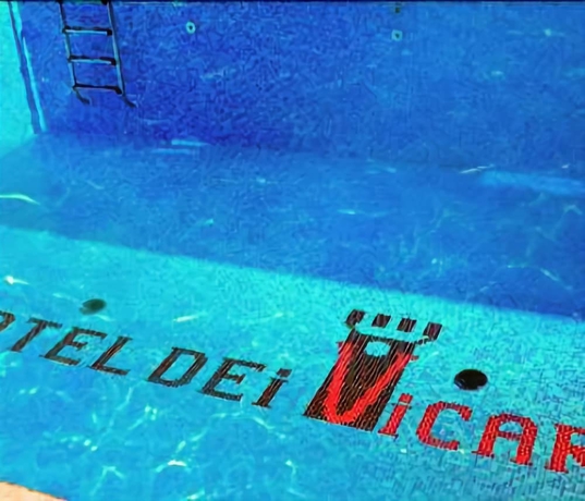 Imagen de la piscina del Hotel DEI VICARI. Foto 17