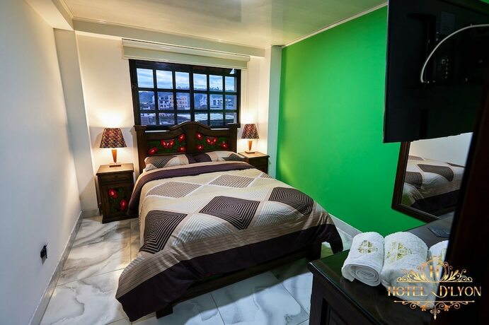 Imagen general del Hotel D\'Lyon. Foto 6