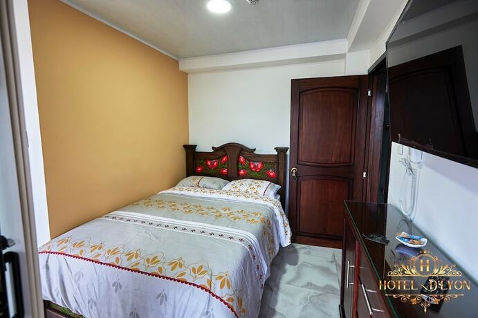 Imagen de la habitación del Hotel D\'Lyon. Foto 18