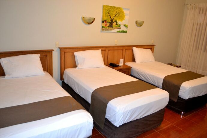 Imagen general del Hotel DM Mossone Ica. Foto 3