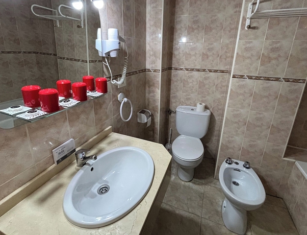 Imagen de la habitación del Hotel DORMERO Sahag&uacute;n. Foto 15