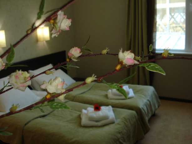 Imagen de la habitación del Hotel D\'Plaza. Foto 5