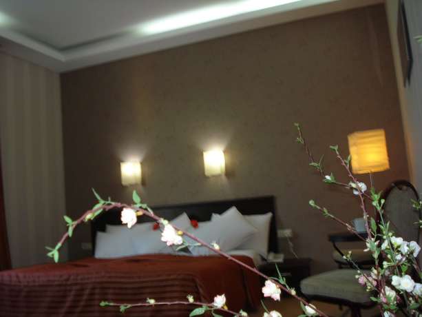 Imagen de la habitación del Hotel D\'Plaza. Foto 14