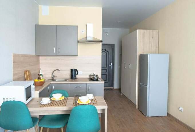Imagen general del Hotel DZirconia Elagin Island Apartments. Foto 8