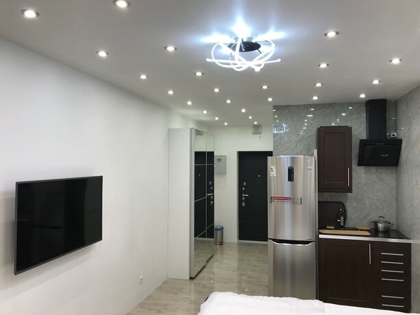 Imagen general del Hotel DZirconia Elagin Island Apartments. Foto 12