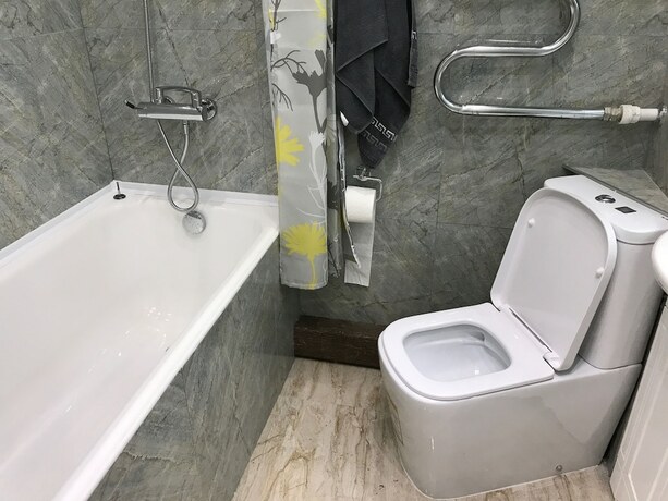 Imagen general del Hotel DZirconia Elagin Island Apartments. Foto 13