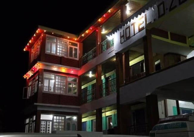 Imagen general del Hotel D\'Zojila - Kargil. Foto 3