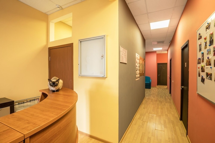 Imagen de los interiores del Hotel Da Arbat 11 - Hostel. Foto 19