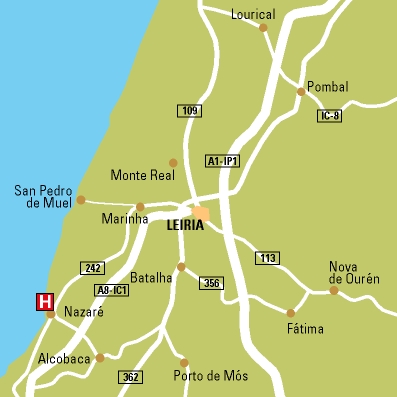 Imagen de la piscina del Hotel Da Nazare. Foto 9