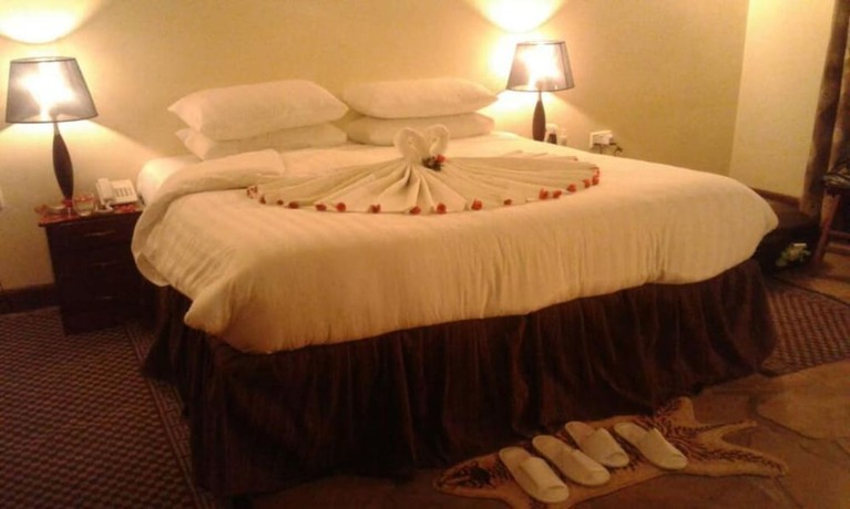 Imagen general del Hotel Da Vinci Gorilla Lodge. Foto 1