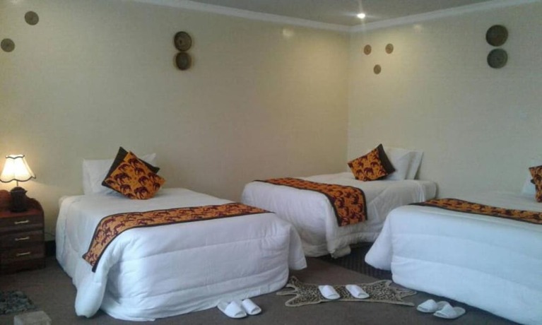 Imagen de la habitación del Hotel Da Vinci Gorilla Lodge. Foto 6